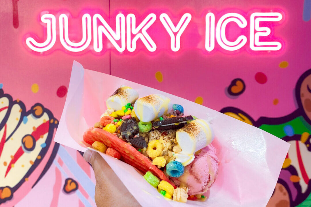 JUNKY ICE